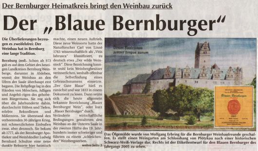 Pressebeitrag Super Sonntag
